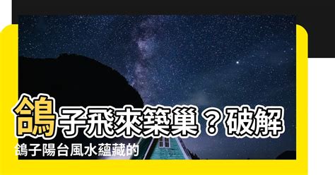 鴿子進家門|【鴿子風水】鴿子築巢、飛來家中的風水徵兆，好運還是凶兆？